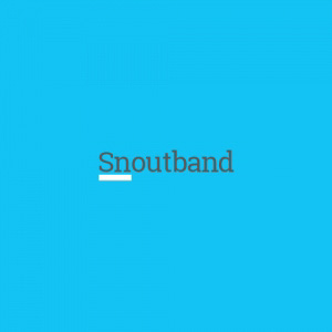 Snoutband