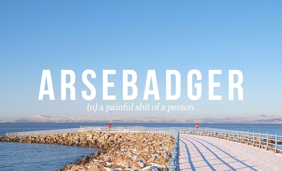 arsebadger definition