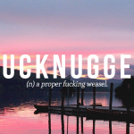 Fuck Nugget Definition