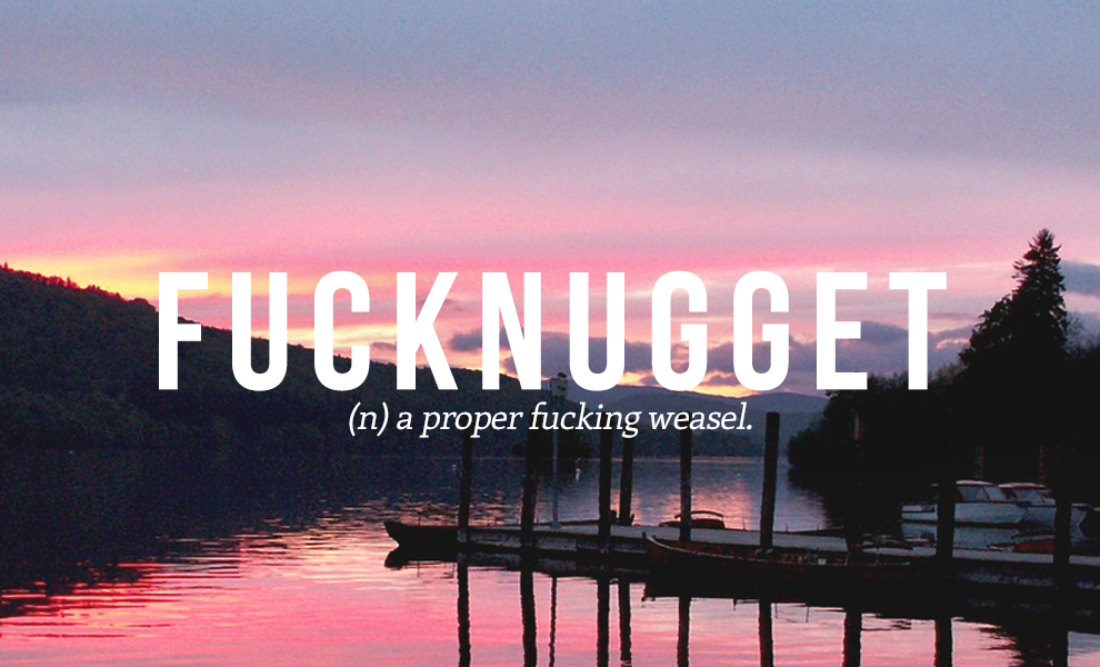 fucknugget definition