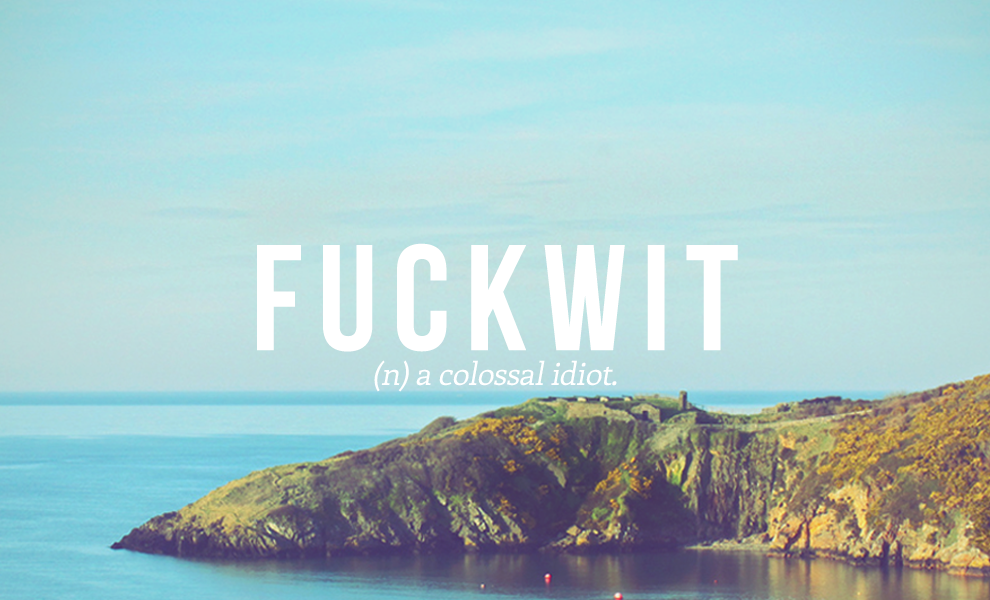 fuckwit definition