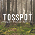 Tosspot Definition