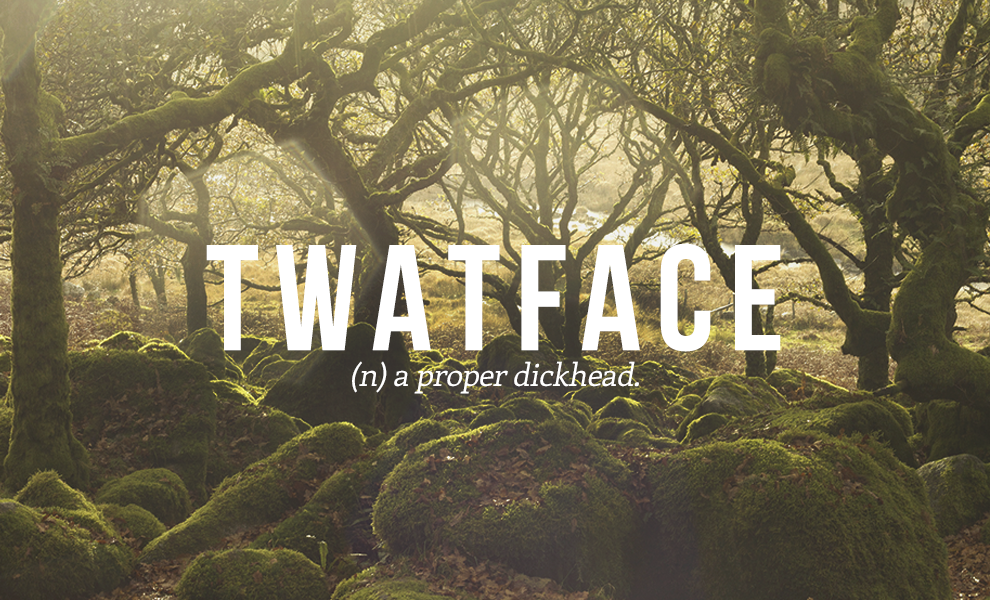 twatface definition